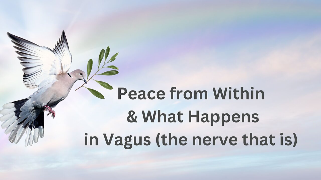 Peace from Within & What Happens in Vagus.... (the nerve) Ann Albers