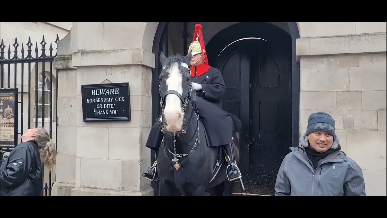 She runs when the horse moves #horseguardsparade