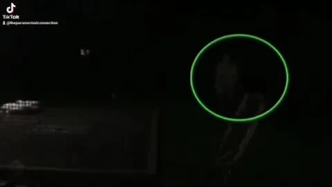 I finally caught it,now what is it?