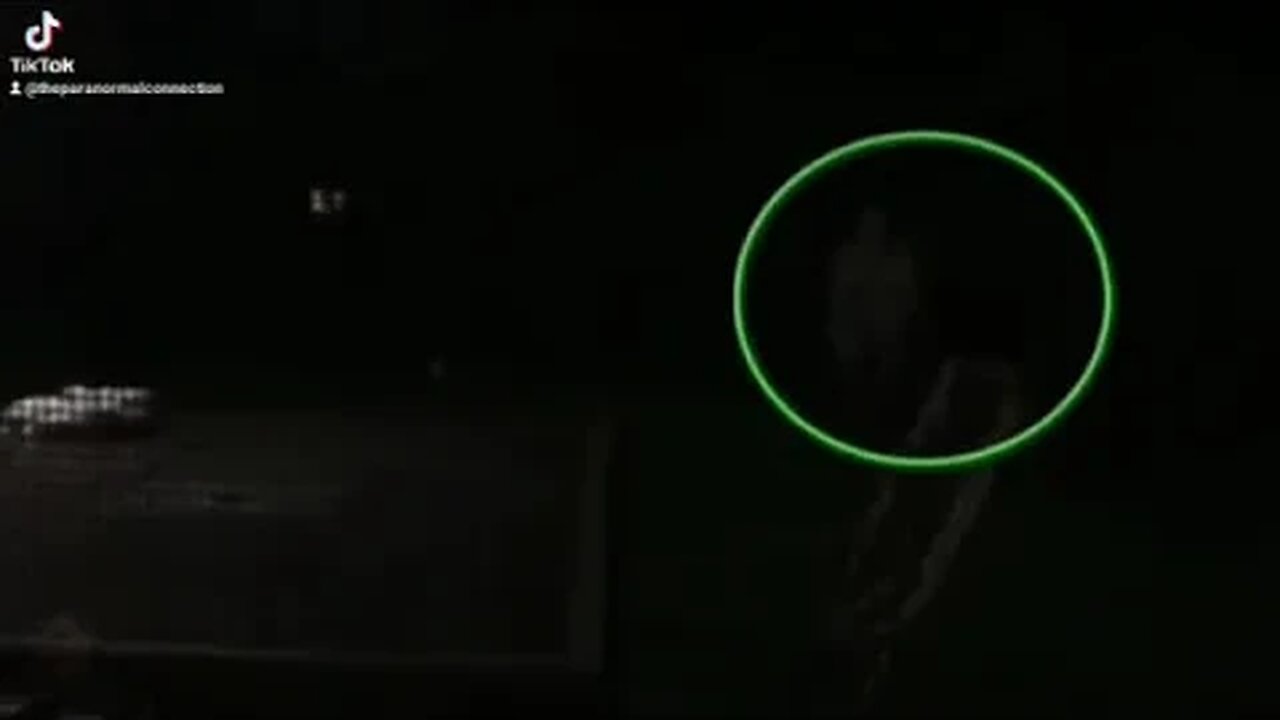 I finally caught it,now what is it?