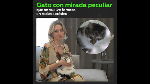 La historia de la vida de un gato con ojos únicos