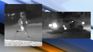 'Car creepers' steal Range Rover from Palm Beach County home