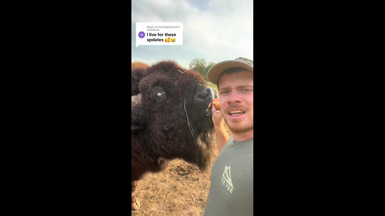 having with animals in the zoo part 6