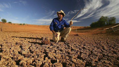 Australian Farmers Struggling To Keep Livestock Alive In Major Drought