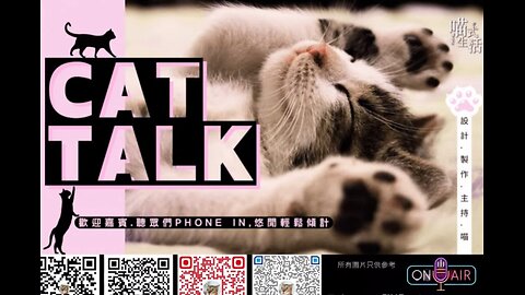 舒壓 深宵 LIVE🟡 CAT TALK｜輕鬆. 傾計. 偷閒. HEA ｜設計,製作,主持: 天喵 @喵式生活RADIO｜香港廣東話節目