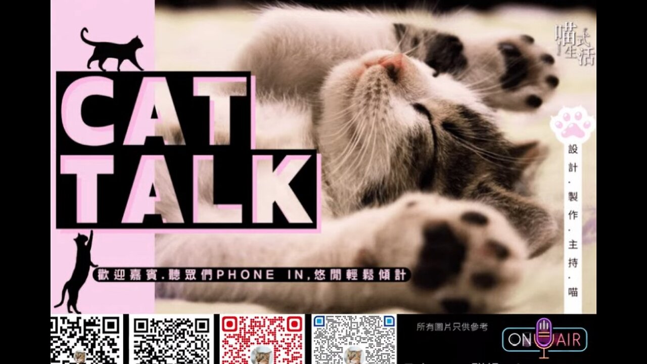 舒壓 深宵 LIVE🟡 CAT TALK｜輕鬆. 傾計. 偷閒. HEA ｜設計,製作,主持: 天喵 @喵式生活RADIO｜香港廣東話節目