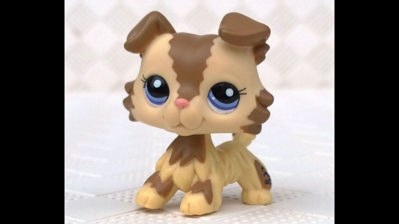LPS : ADOPTION DAY