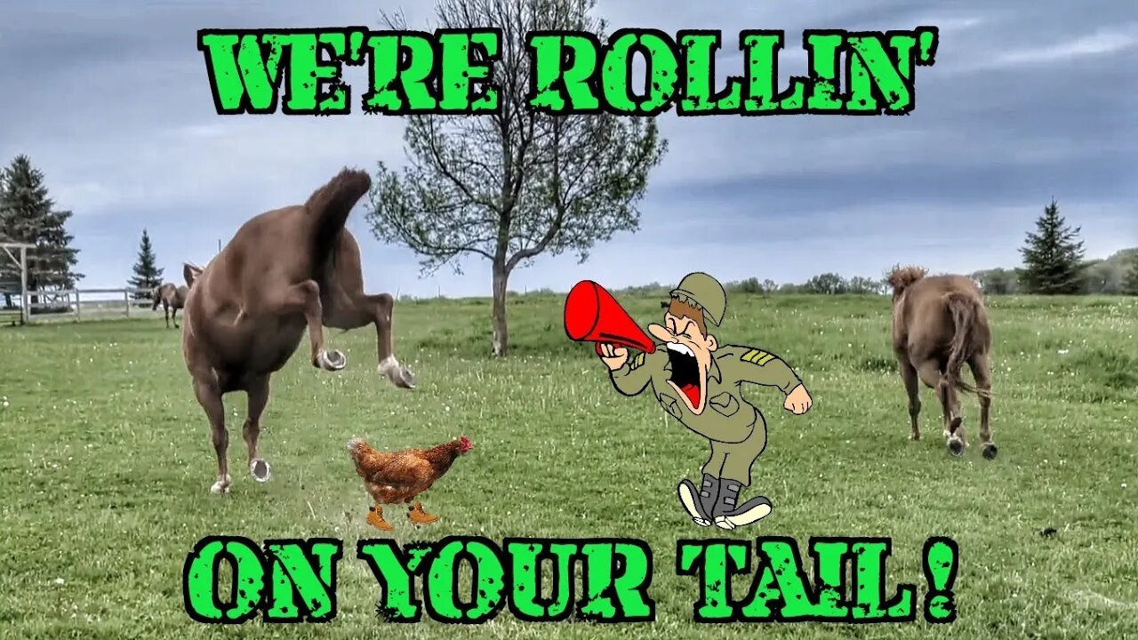 WE'RE ROLLIN' -- ON YOUR TAIL! 🐎