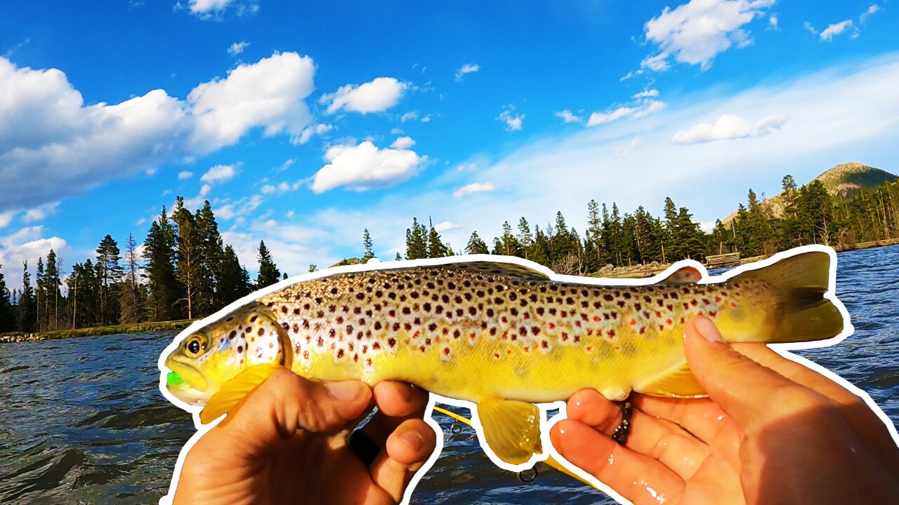 Trout Fishing Is Heating Up In Rocky Mountain National Park!