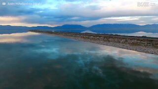 Vista magnifica dell'Isola delle Antilope, nel Grande Lago Salato dello Utah