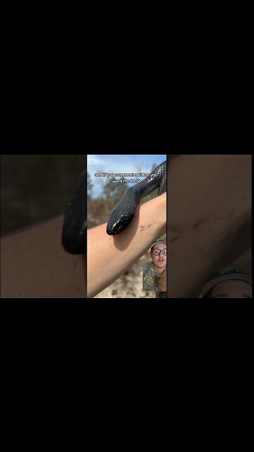 Are you into animals?