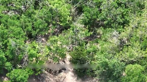 A drone found a Ukrainian soldier in Gulyaipole, Zaporozhye region