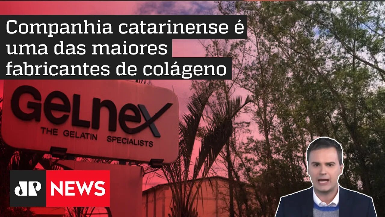Bruno Meyer: Americana Darling compra catarinense Gelnex