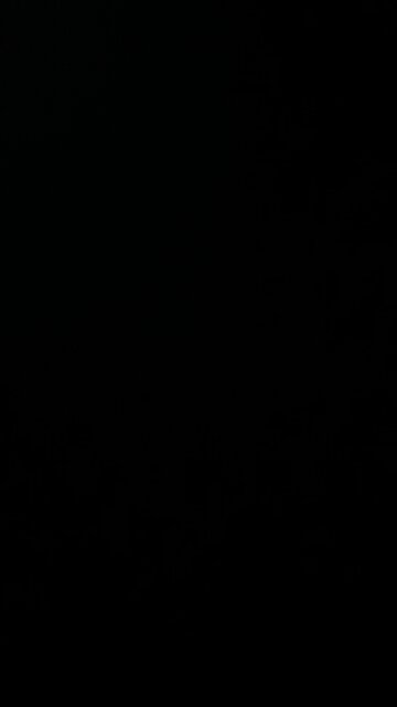 Operation Prosperity Guardian