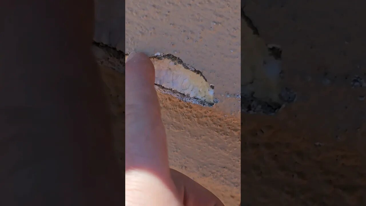 Woodpeckers love homes made of Styrofoam