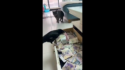 a crow flying with money