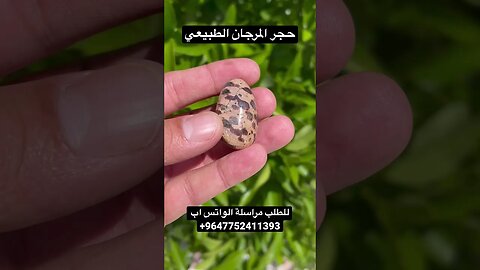 حجر المرجان الطبيعي