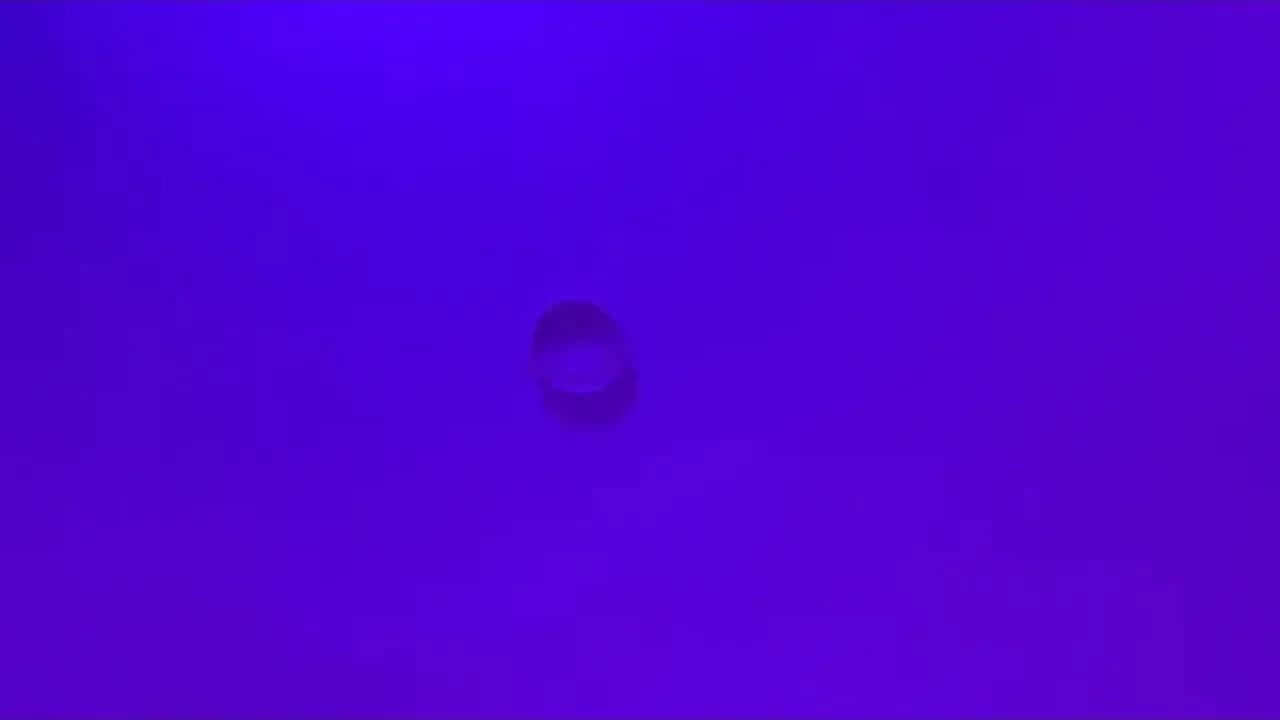 Let’s talk with VERSACii