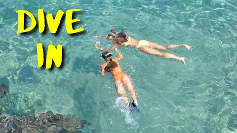 Dive In — Jay Someday Dance & Electronic Music [ #Free RoyaltyBackground Music]