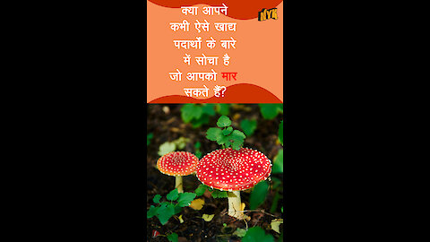 कौनसे Exotic खाद्य पदार्थ है जो आपको मार सकते है ? *