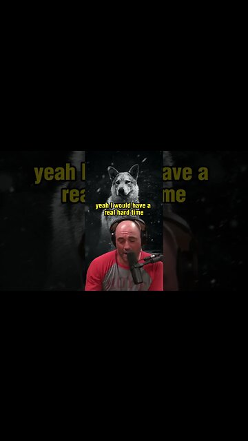 Why Eating Wolf Meat Isn't for Everyone | Joe Rogan Experience ft. Donnie Vincent