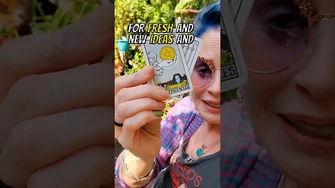 New Money?💰🤑💲🪙💶 #crystinasmart #lowkeymagickal #tinytarot #tarot #abundance #lightworker #moneytarot