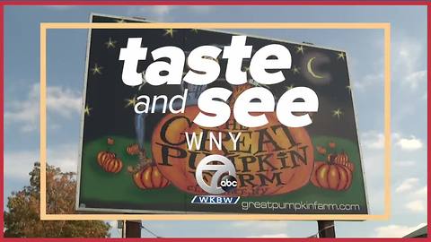 Taste and See Great Pumpkin Farm