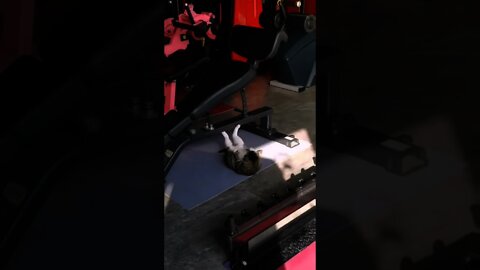 Funny cat gym workout