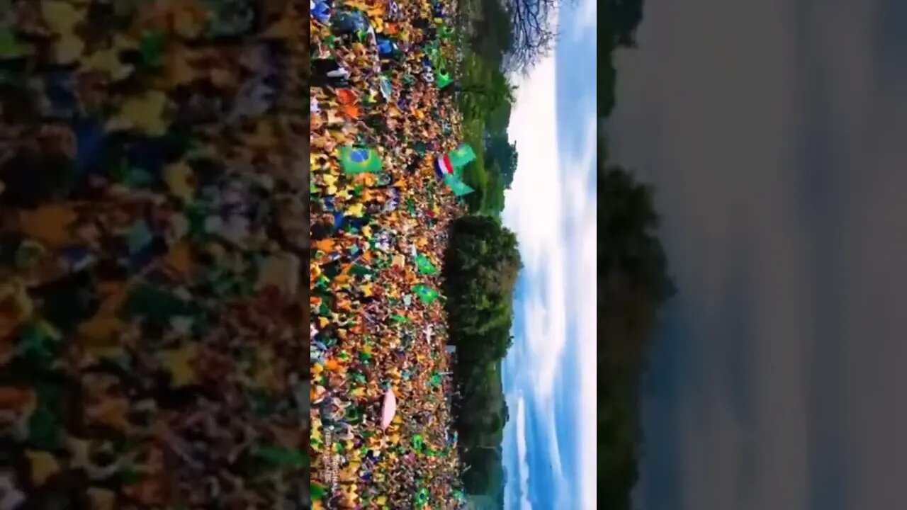 O patriota