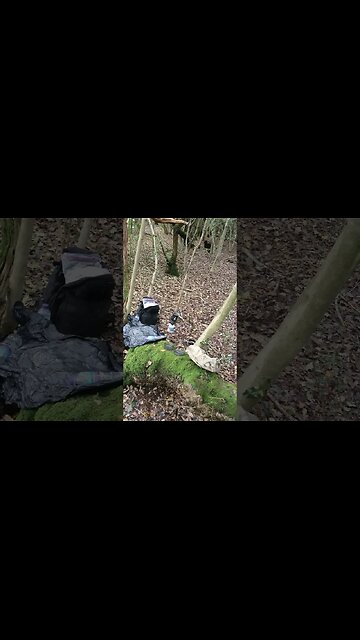 Jet boil in the woods. 13th Nov 2023 #shortsvideo