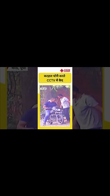 Jackfruit Chori Viral Video : कटहल चोरी करते CCTV में कैद हुए युवक #shorts