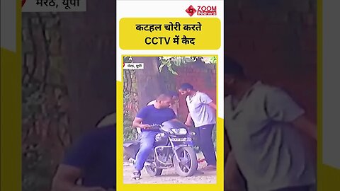 Jackfruit Chori Viral Video : कटहल चोरी करते CCTV में कैद हुए युवक #shorts