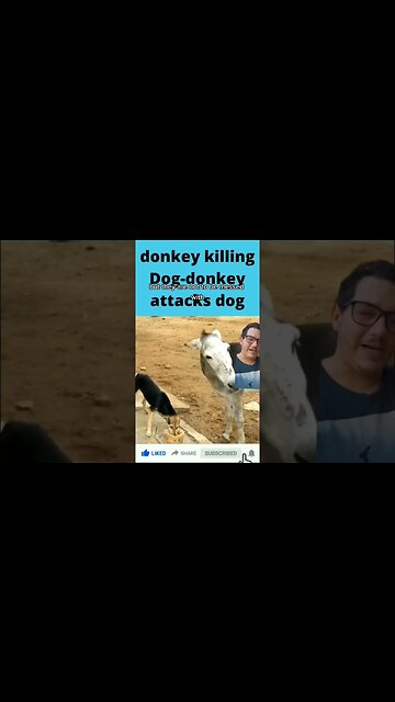 Don't mess with a wild ass