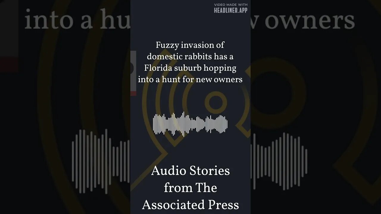 Fuzzy invasion of domestic rabbits has a Florida suburb hopping into a hunt for new owners |...