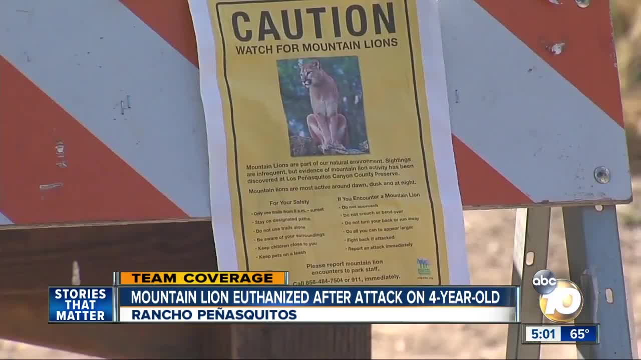 Boy attacked by mountain lion in San Diego's Los Peñasquitos Canyon