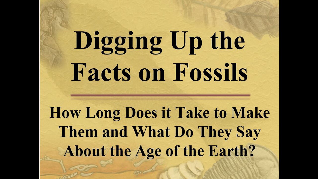 Digging Up the Facts on Fossils