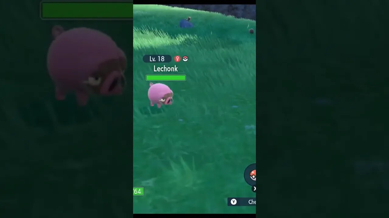 My first true full odds shiny! #pokemonscarlet #pokemonviolet #pokemon