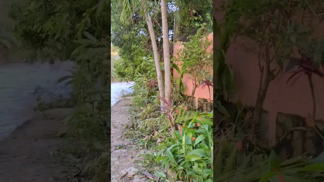 Boca survived Hurricane Lydia. better videos to come.