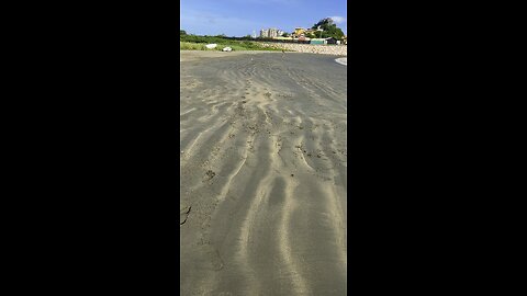 Crab Beach Costa Rica!!