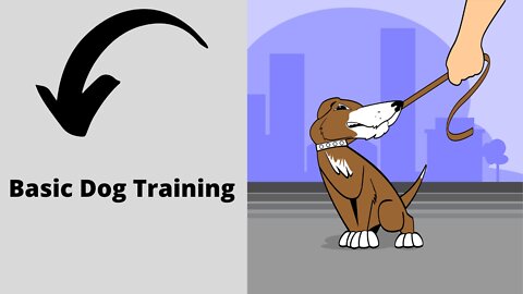 🐶 Basic Dog Training - The TOP 10 Commands That Every Dog Should Know!