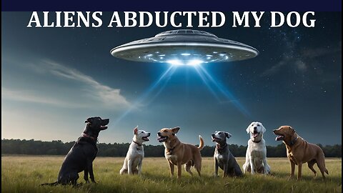 Aliens Abducted My Dog!