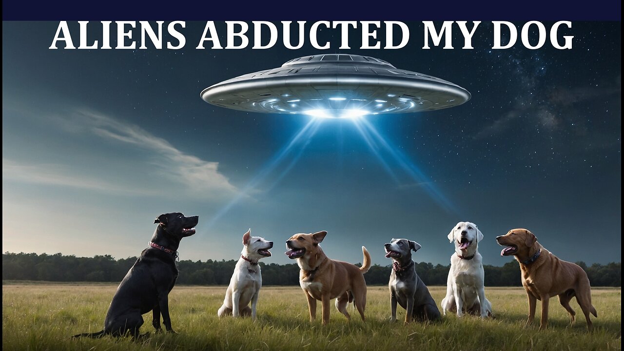 Aliens Abducted My Dog!