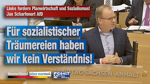 Linke fordern Planwirtschaft und Sozialismus! Jan Scharfenort AfD