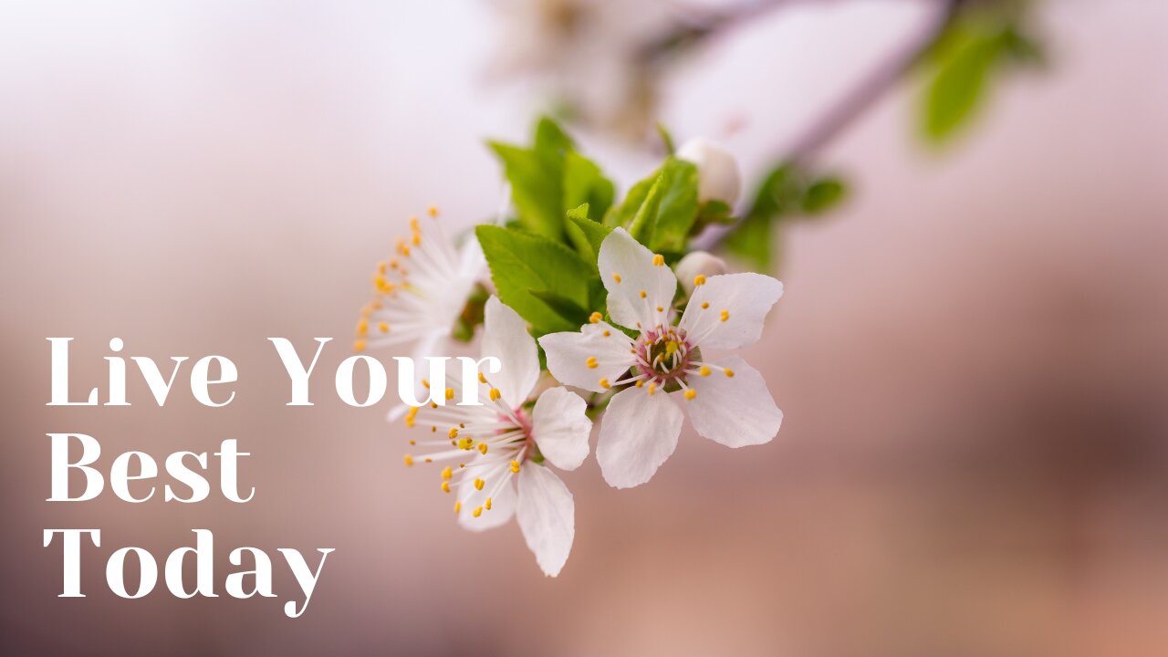 Live Your Best Today