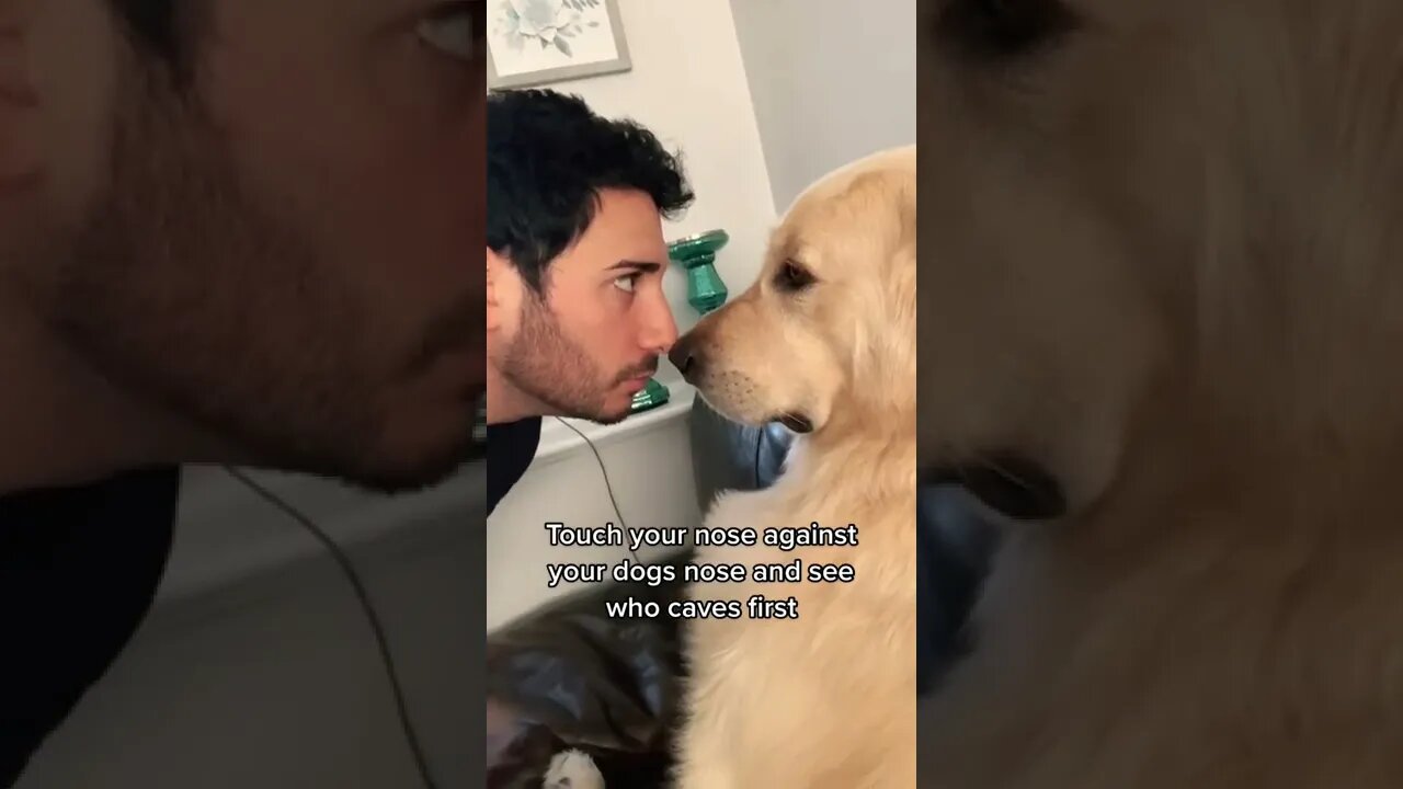 giannaromano67 Creator, How to annoy your dog 101
