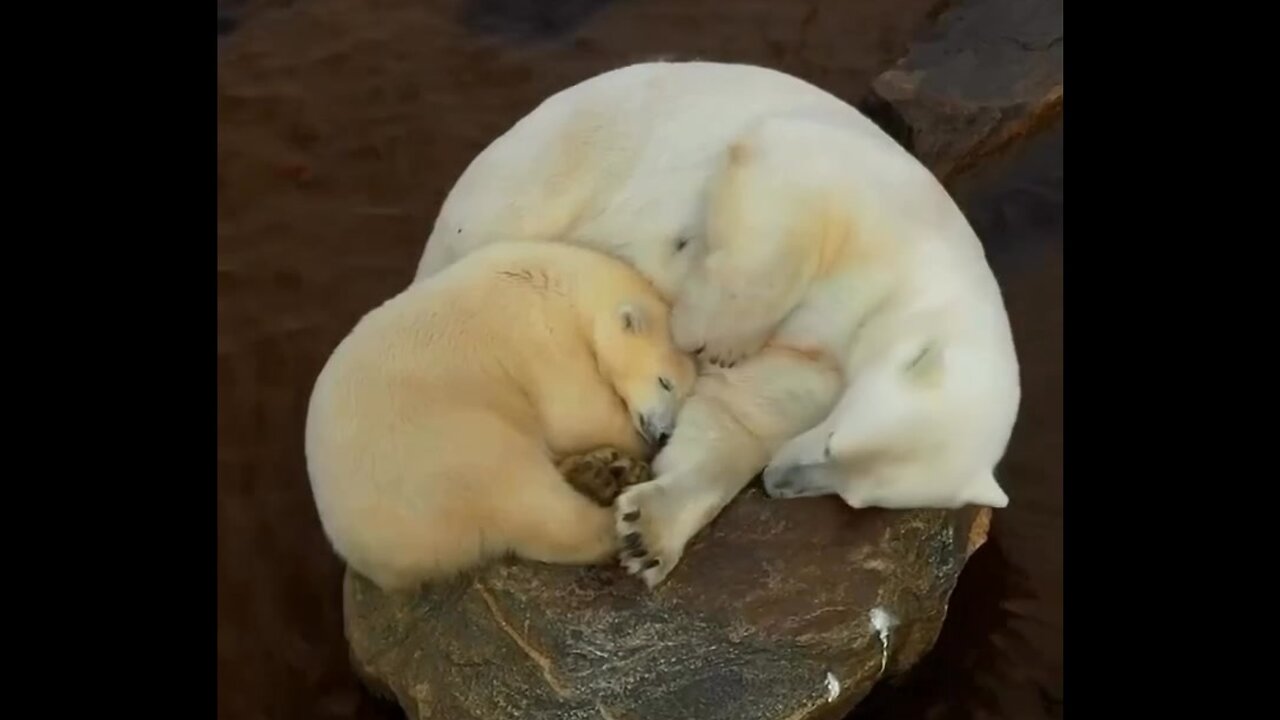 Baby sleeps with mommy