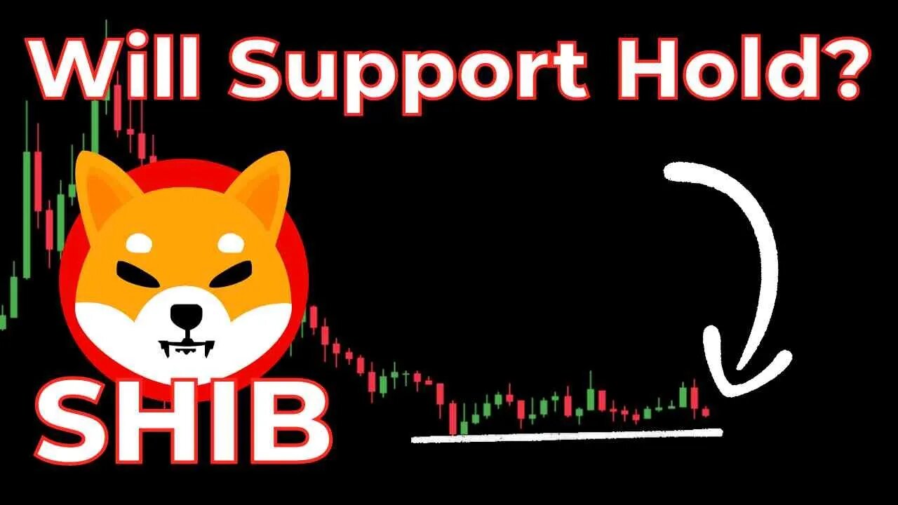 Will SHIB ever go UP!?? Shiba Inu Prices to watch & Daily Analysis 2023