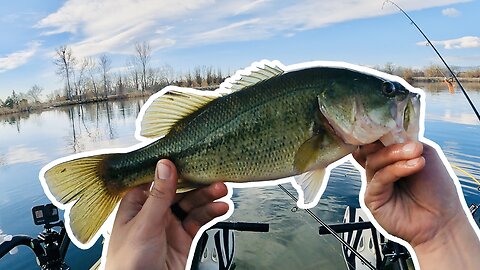 Spring Bass Fishing is Heating Up on the Colorado Front Range!