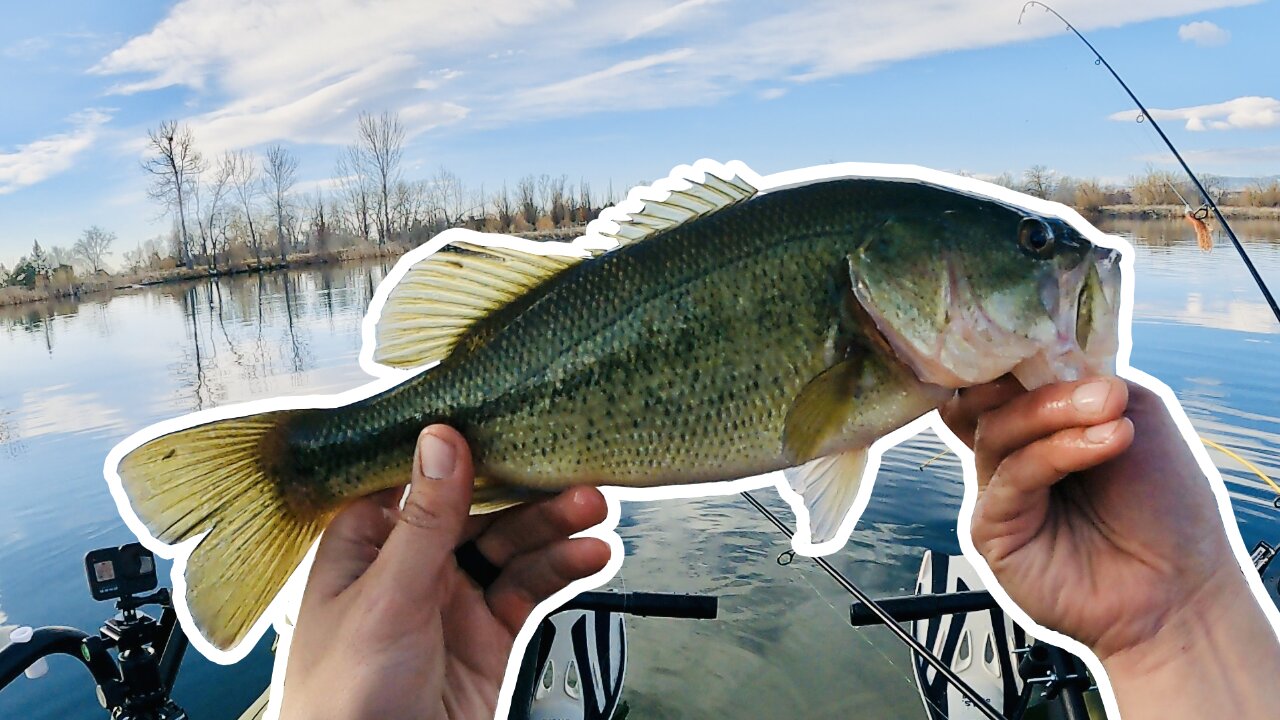 Spring Bass Fishing is Heating Up on the Colorado Front Range!