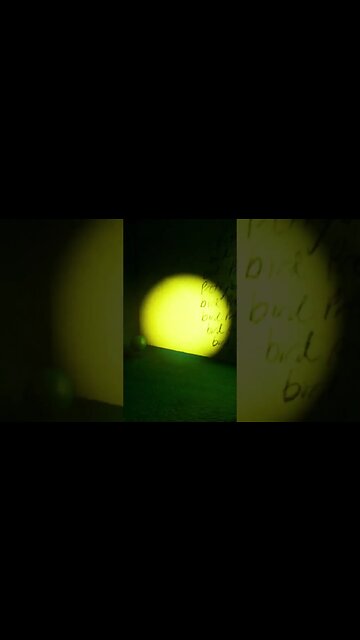 iM tHe BiGgEsT bIrD #gartenofbanban #short